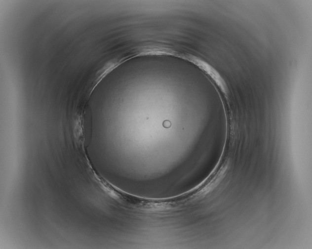 X0000113361385200909151226