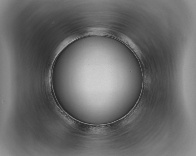 X0000113361386200909151226