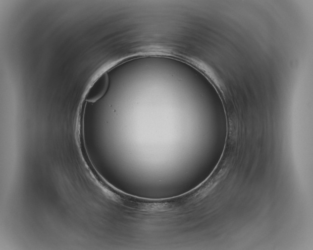 X0000113361387200909151226