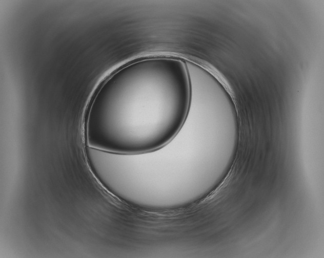 X0000113361388200909151226
