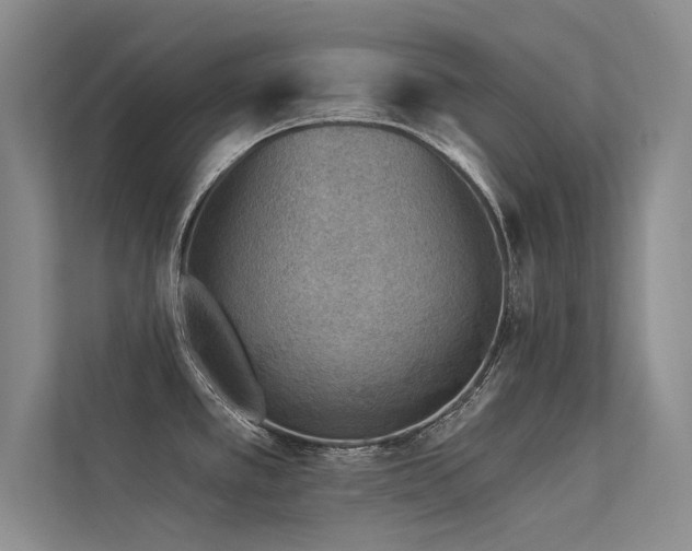 X0000113361389200909151226