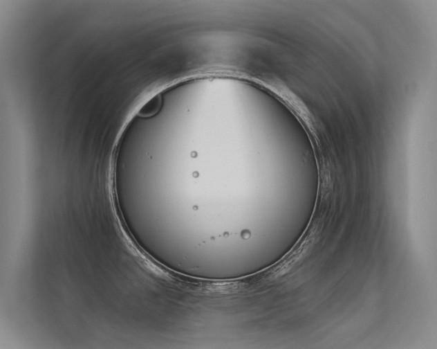 X0000113361390200909151226