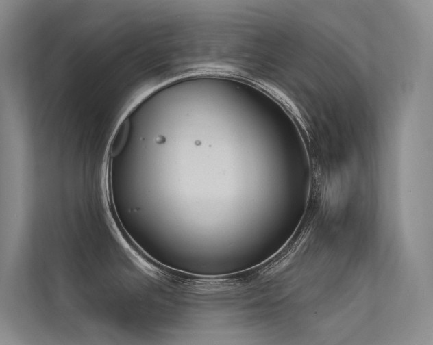 X0000113361391200909151226