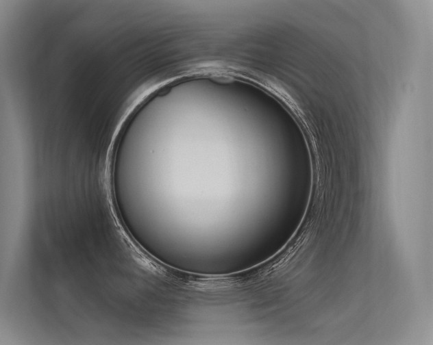X0000113361392200909151226