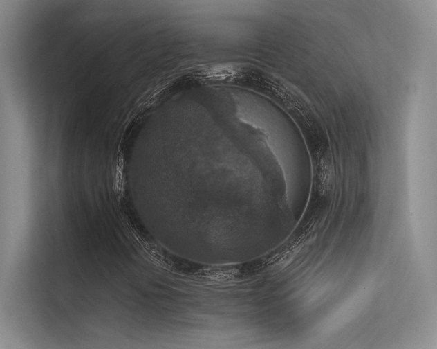 X0000113361394200909151226