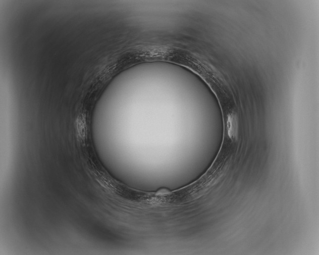 X0000113361395200909151226