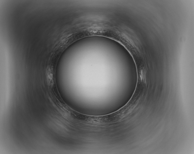 X0000113361396200909151226