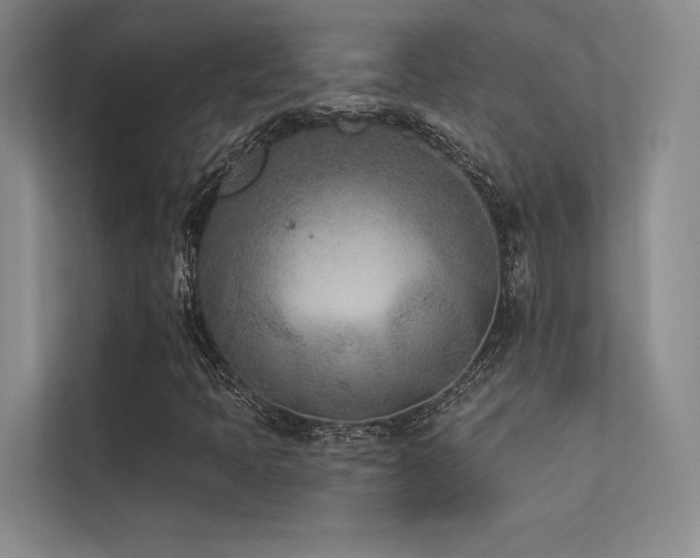 X0000113361397200909151226