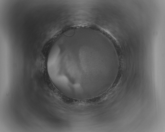 X0000113361399200909151226