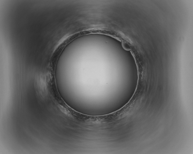 X0000113361400200909151226