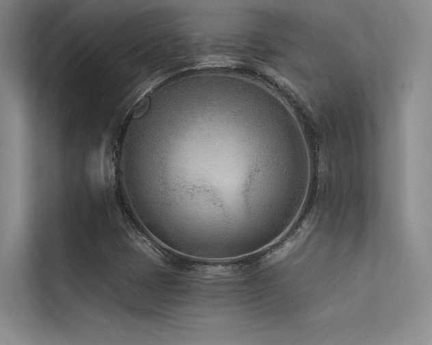 X0000113361401200909151226