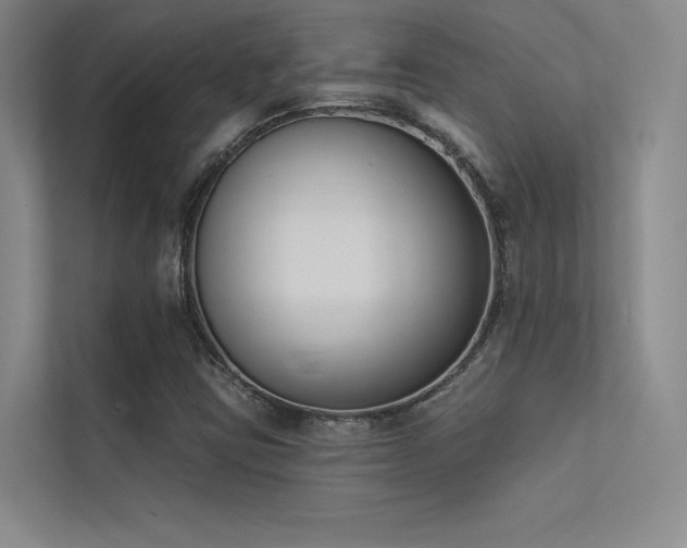 X0000113361403200909151226