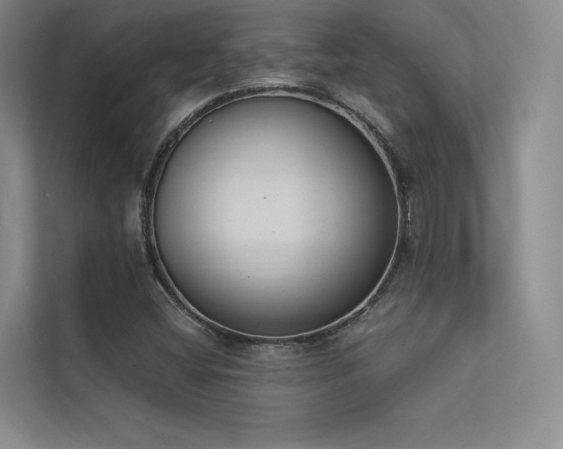 X0000113361404200909151226