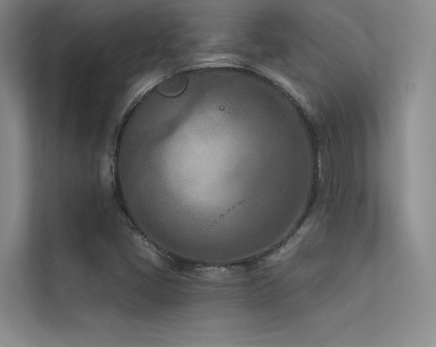 X0000113361405200909151226