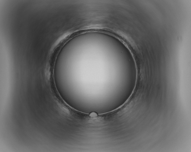 X0000113361406200909151226
