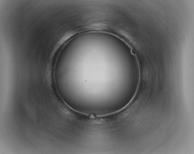 X0000113361410200909151226