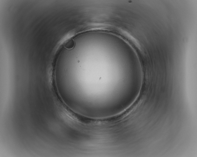 X0000113361411200909151226