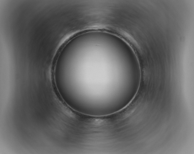 X0000113361412200909151226
