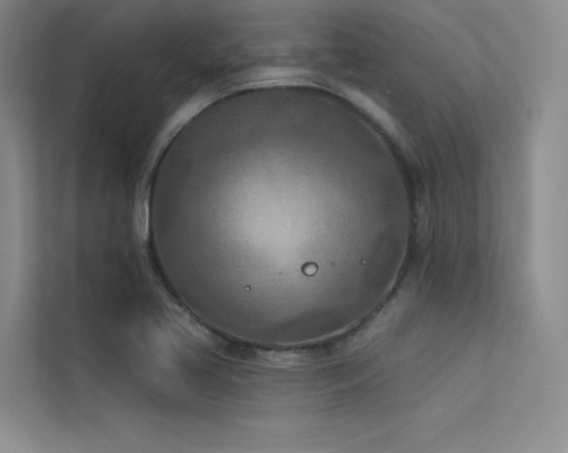 X0000113361413200909151226