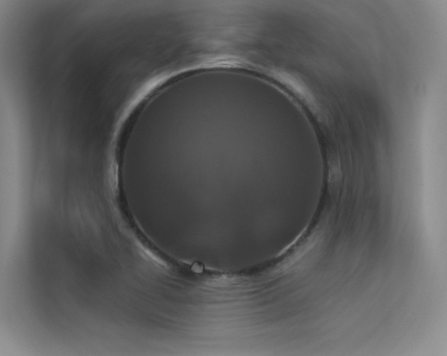 X0000113361414200909151226
