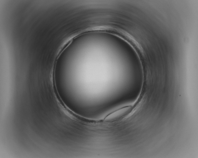 X0000113361417200909151226