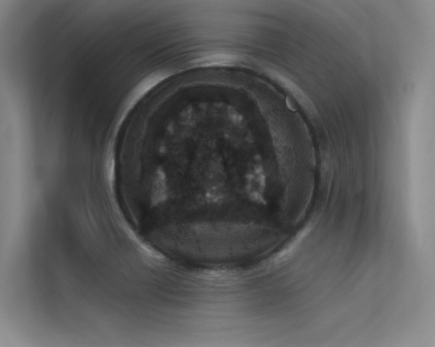 X0000113361418200909151226