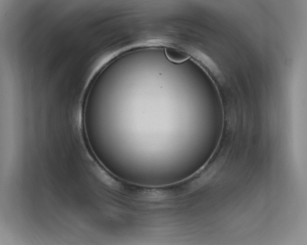 X0000113361420200909151226