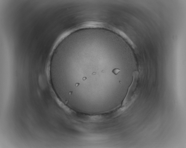 X0000113361421200909151226