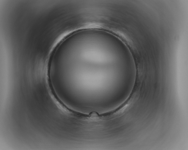 X0000113361422200909151226
