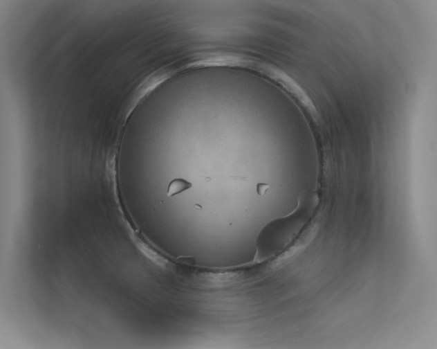 X0000113361425200909151226