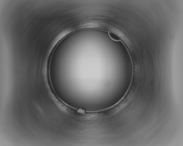 X0000113361426200909151226