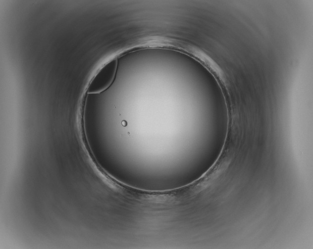 X0000113361429200909151226