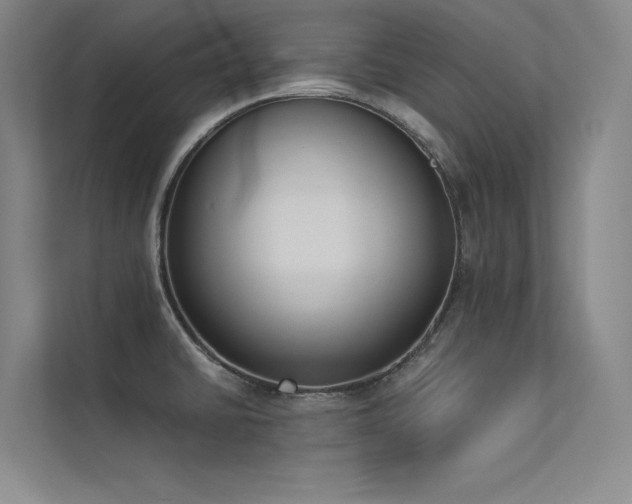 X0000113361430200909151226