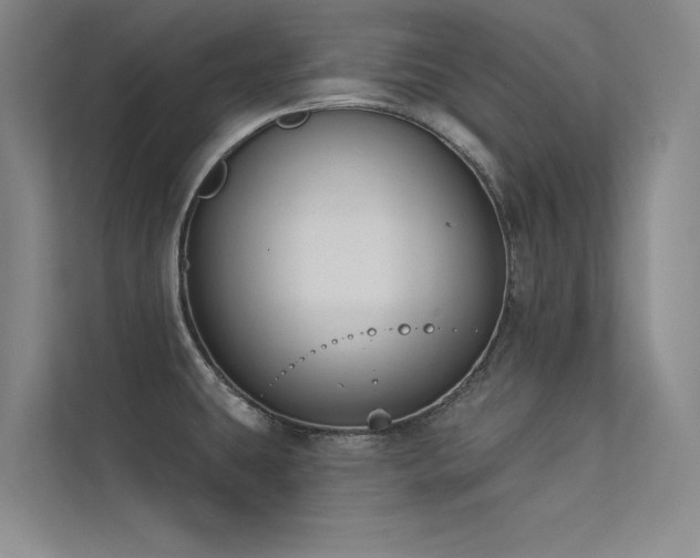 X0000113361431200909151226