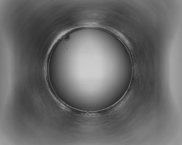 X0000113361432200909151226