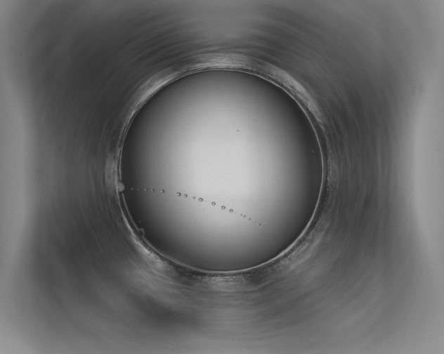 X0000113361433200909151226