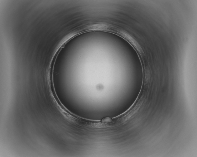 X0000113361434200909151226