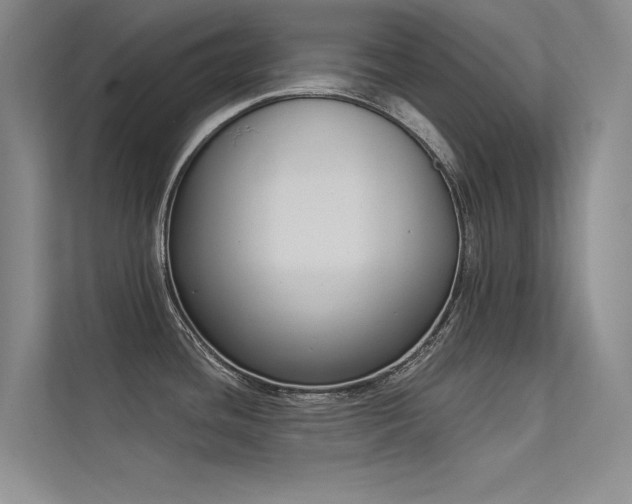 X0000113361436200909151226