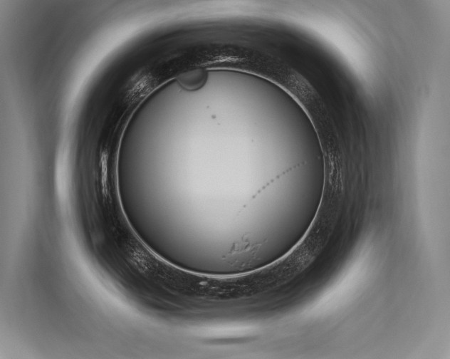 X0000113361439200909151226