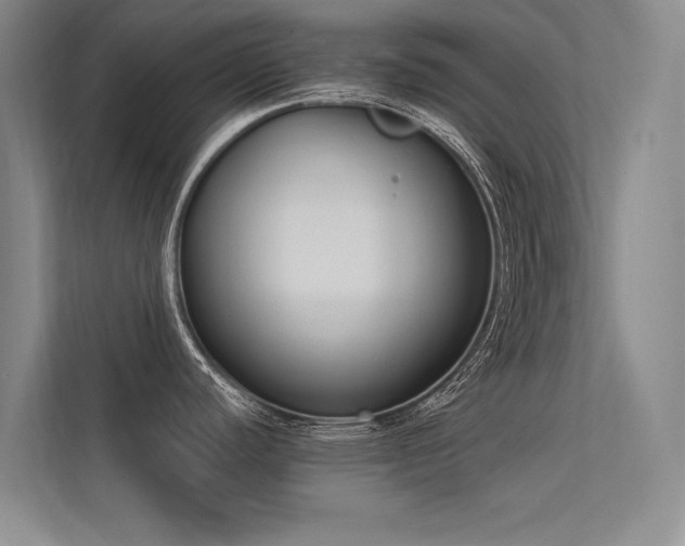 X0000113361440200909151226