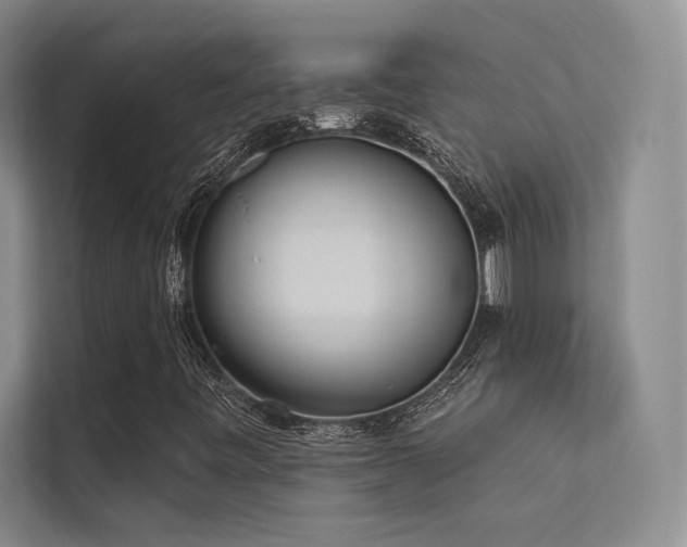 X0000113361443200909151226