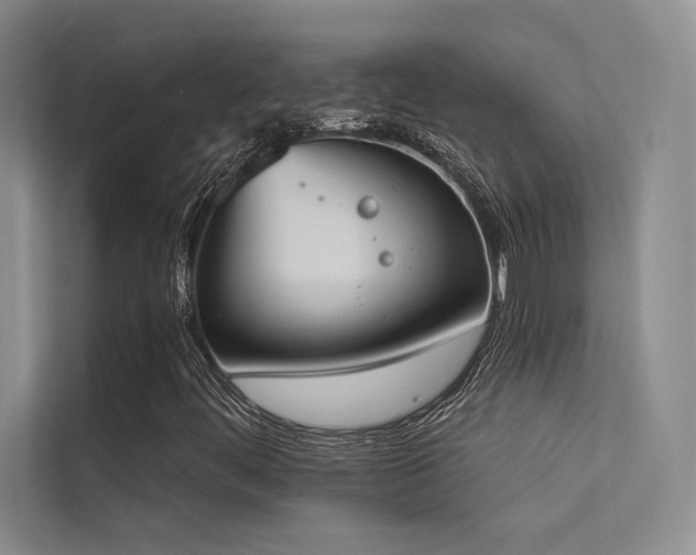 X0000113361444200909151226