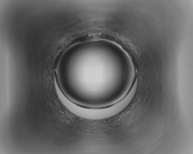 X0000113361445200909151225