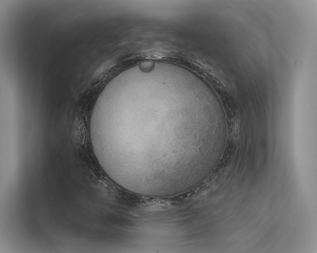 X0000113361446200909151225