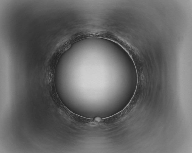 X0000113361447200909151225