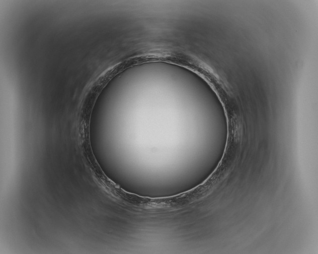 X0000113361448200909151225