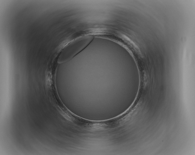 X0000113361449200909151225