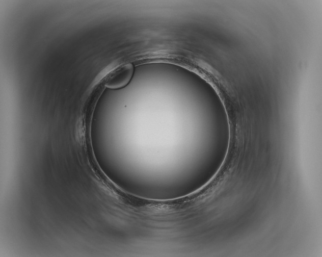 X0000113361450200909151225