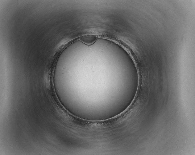 X0000113361451200909151225
