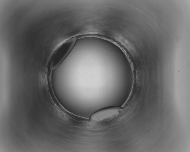 X0000113361452200909151225